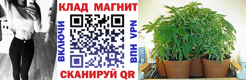 Купить наркотики цена Лесозаводск Канабис  МЕФ  ГАШ 