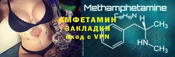 трава Коряжма