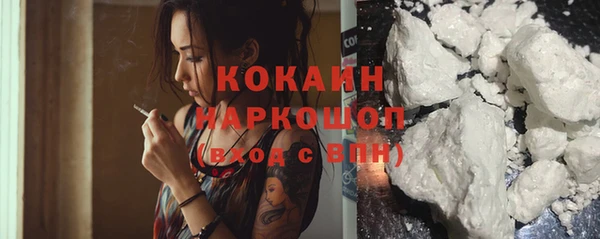 молекула духа Козловка