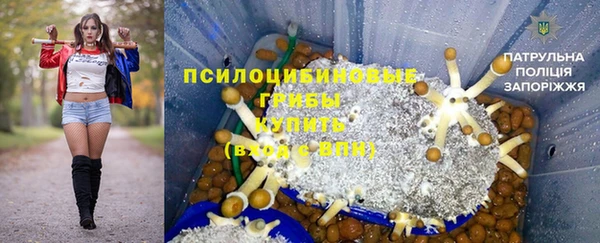 шишки Козельск