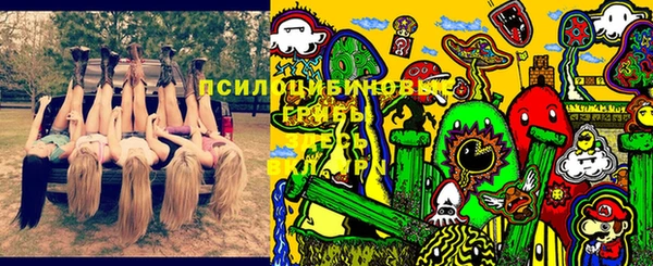 шишки Козельск