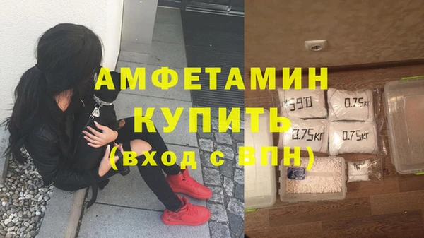 шишки Козельск
