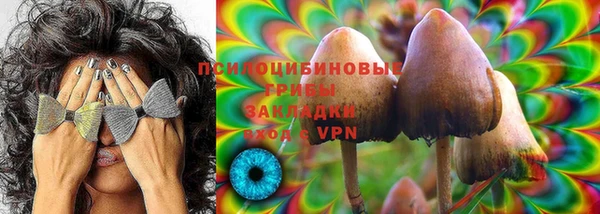 молекула духа Козловка