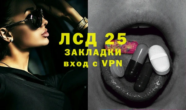 молекула духа Козловка