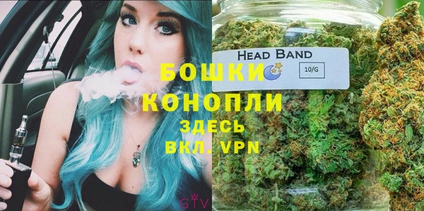 шишки Козельск