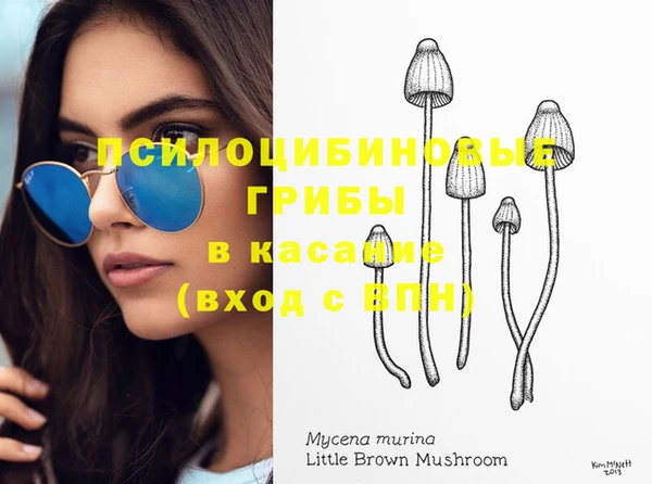 прущая мука Кодинск